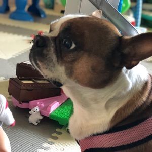 Meet your Posher, Amy